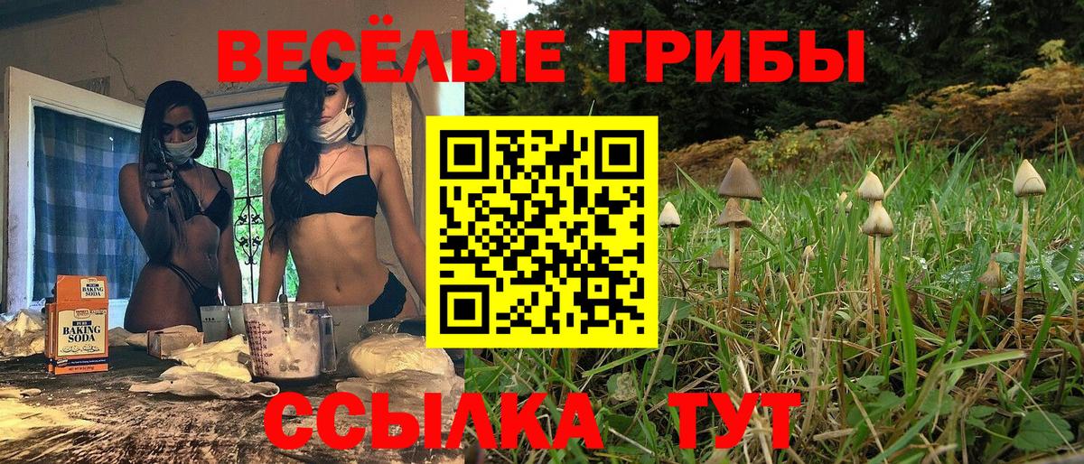 Галлюциногенные грибы Cubensis Павлово