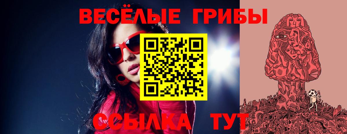 Галлюциногенные грибы MAGIC MUSHROOMS  Галлюциногенные грибы MAGIC MUSHROOMS  Павлово  Вход с VPN 