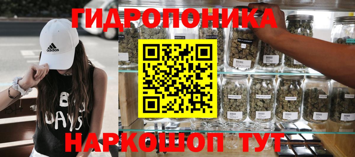 Бошки Шишки VHQ  Каннабис индика  Вход с VPN  Шишки марихуана гибрид  Павлово  Каннабис планчик 